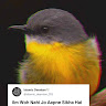 Shozon Avatar Image