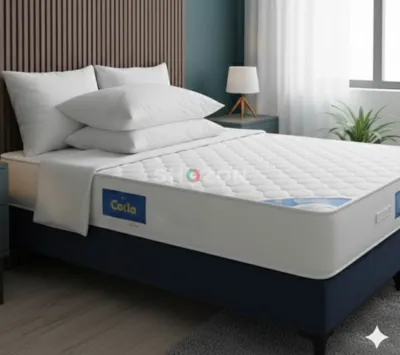 Shozon listing image