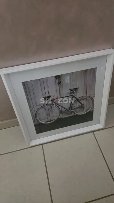 Shozon listing image