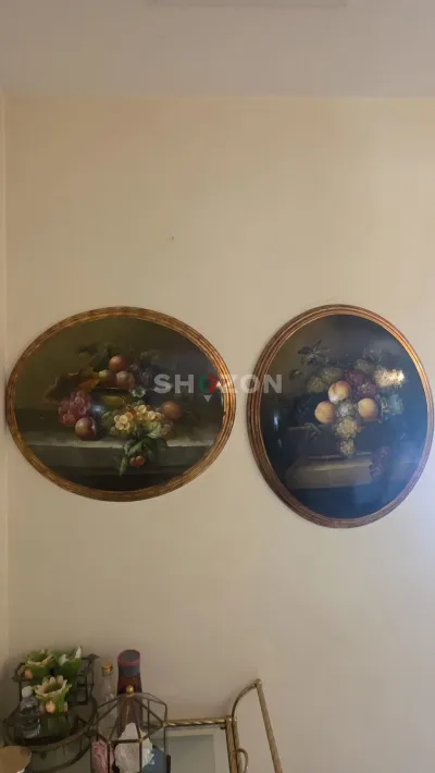 Shozon listing image