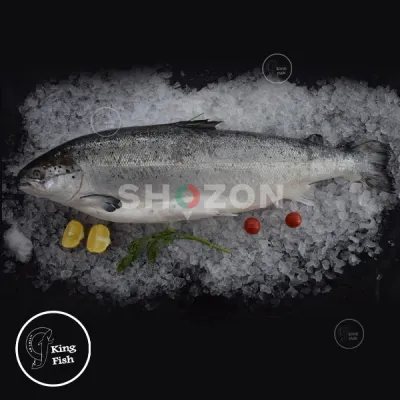 Shozon listing image