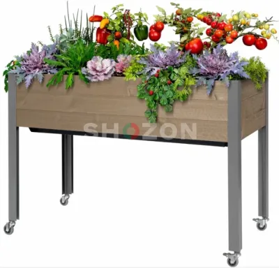 Shozon listing image