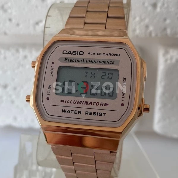 Casio Watch
