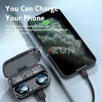 Shozon listing image
