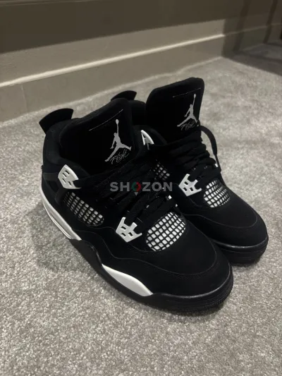 Shozon listing image