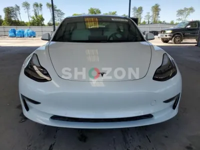 Shozon listing image