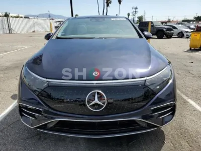 Shozon listing image