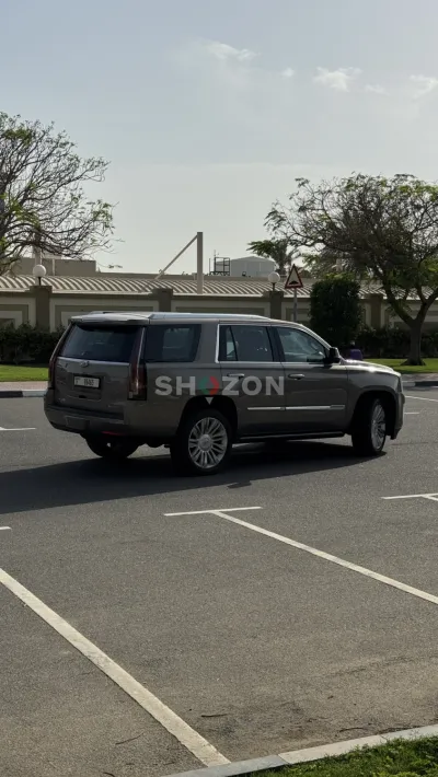 Shozon listing image