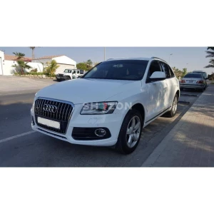 lady owner Audi Q5 2013