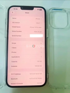 iPhone 13 Pro Max