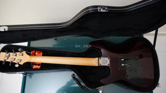 Floyd Rose Schecter Omen with Hard Case