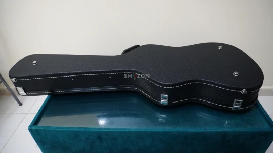 Floyd Rose Schecter Omen with Hard Case