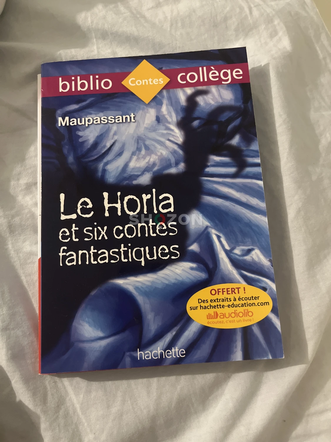 Le Horla et Six Contes Fantastiques – A Must-Read Classic!