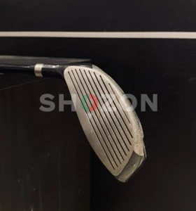 Motion by Hippo Golf Club