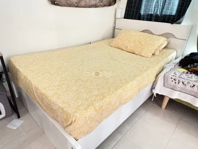 Shozon listing image