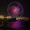 Shozon Avatar Image