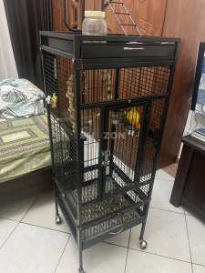 sun conure with 2 large cages and bird stand
