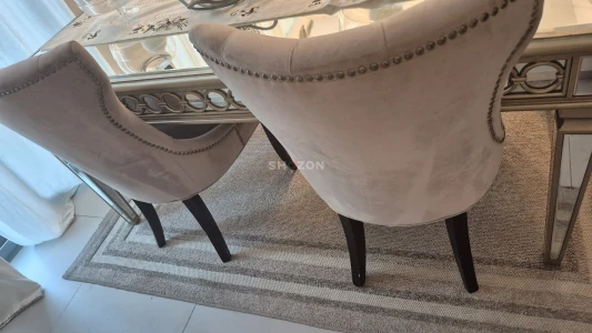 Elegant Dining Set with Plush Chairs