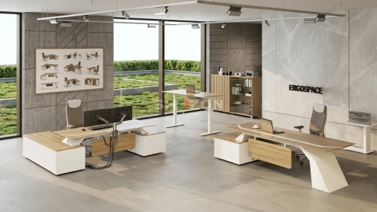 Buy Luxury Office Furniture Al Ain | Premium Office Furniture Supplier in UAE 
