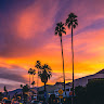 Shozon Avatar Image