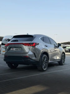 Lexus NX 2022
