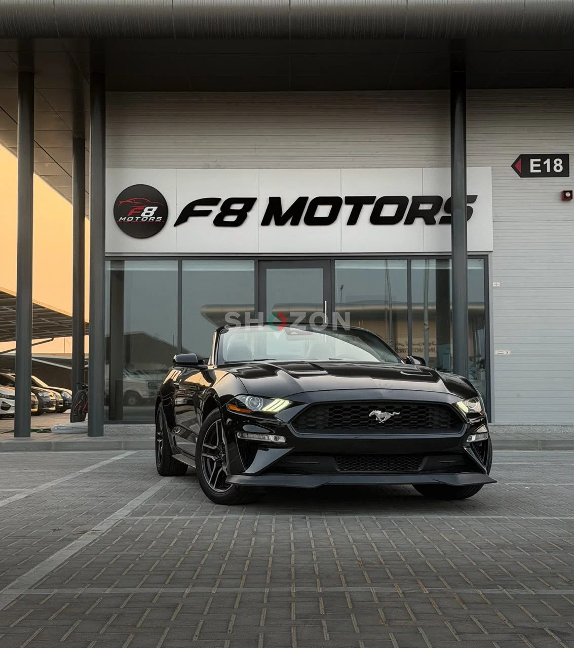 FORD MUSTANG ECOBOOST CONVERTIBLE