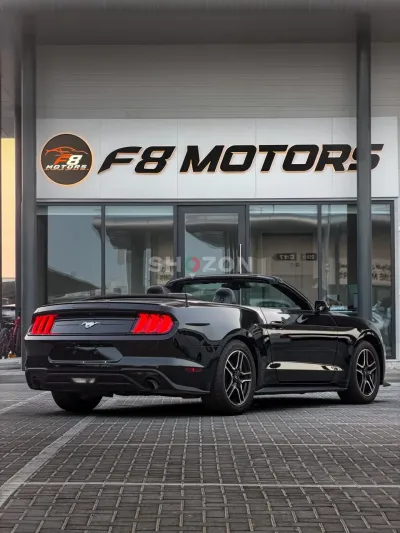 FORD MUSTANG ECOBOOST CONVERTIBLE