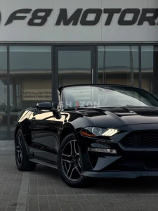 FORD MUSTANG ECOBOOST CONVERTIBLE