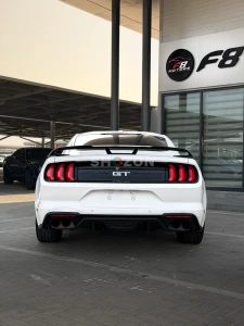 ford mustang gt 5.0L 2020