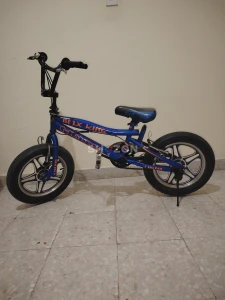 BMX King Blue Children's Bike