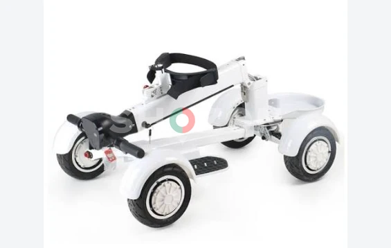 EcoRider G2 E7-1 4Wheel Foldable Golf Electric Skateboard