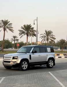 lane rover defender 
