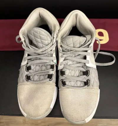 Model: Nike Lebron Witness 8 Color: white / light smokey grey Size: EUR 44  