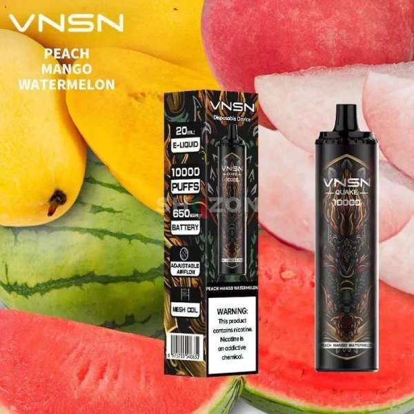 VNSN 10K PUFFS DISPOSABLE 